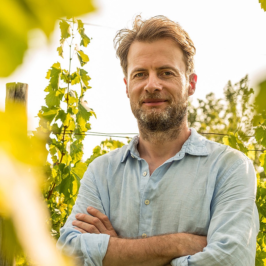 Weinbauer in seinem Weinberg