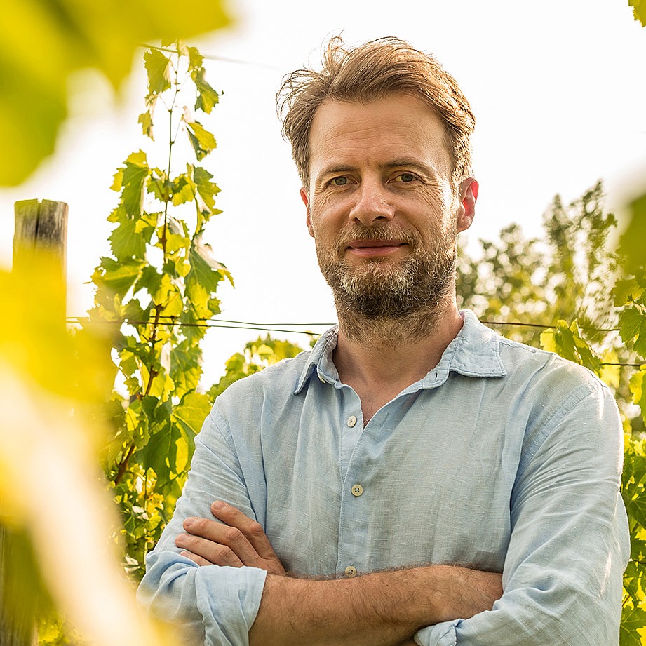 Weinbauer in seinem Weinberg